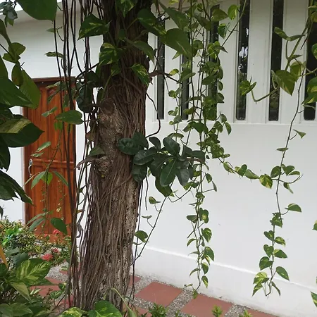 Casa Garcia